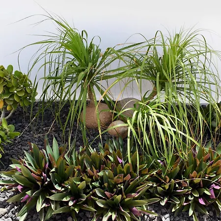 Casa vacanze Urban Corralejo