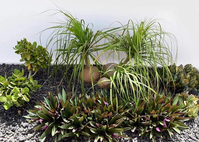 Feriehus Urban Corralejo